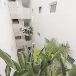 Palm 3
