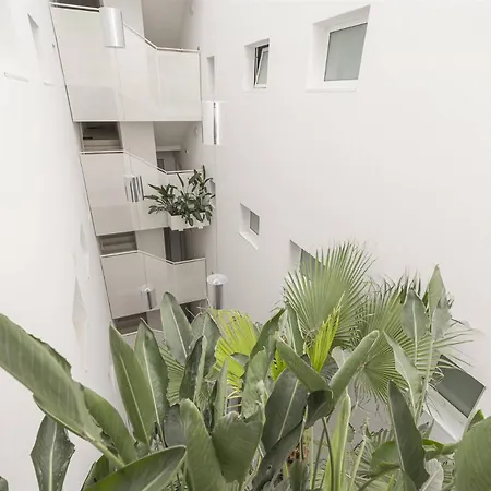 Palm 3